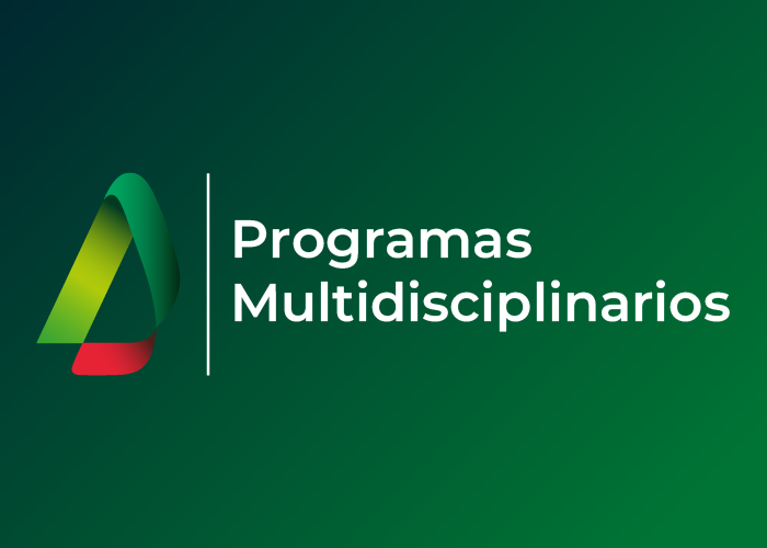 Programas
